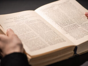 {{brizy_dc_image_alt entityId=