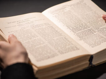 {{brizy_dc_image_alt entityId=